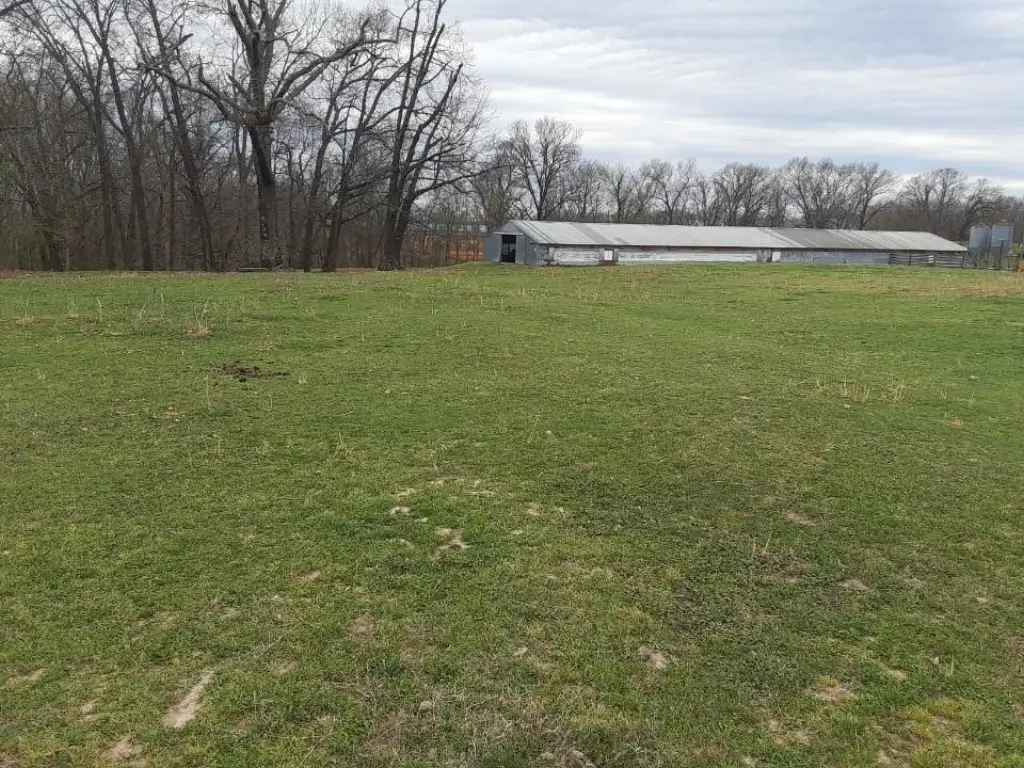 Picture 2
