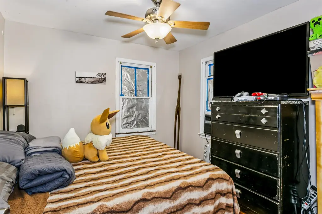 Picture 5
