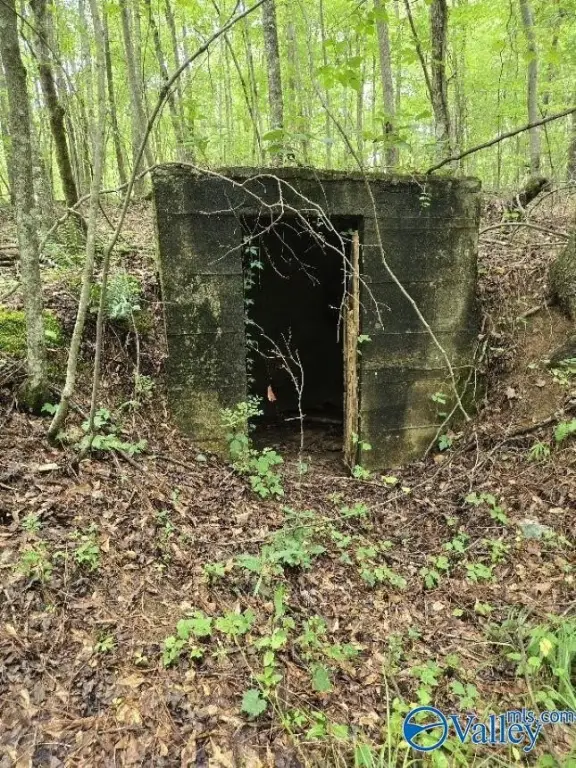 Picture 5