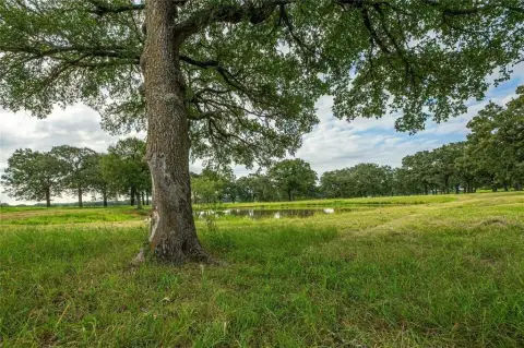 23.7 Acres of Unimproved Land