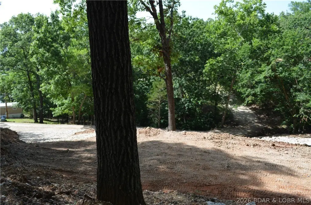 Picture 20