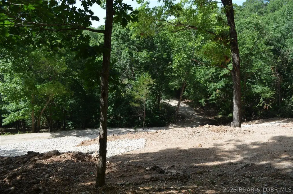 Picture 17