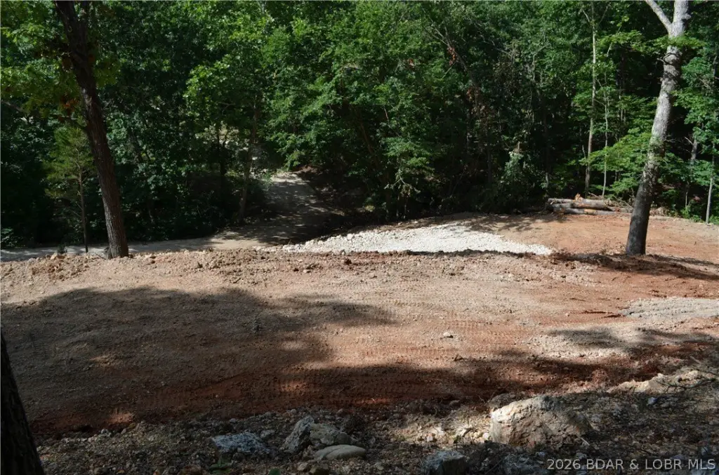 Picture 21