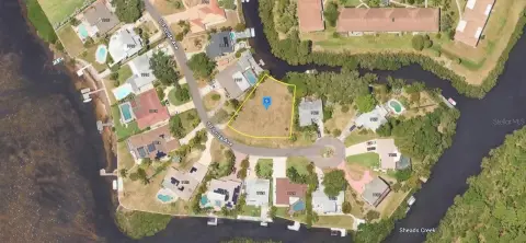 Vacant Land Near Lake Tarpon