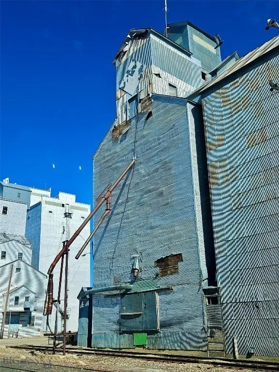 Picture 5