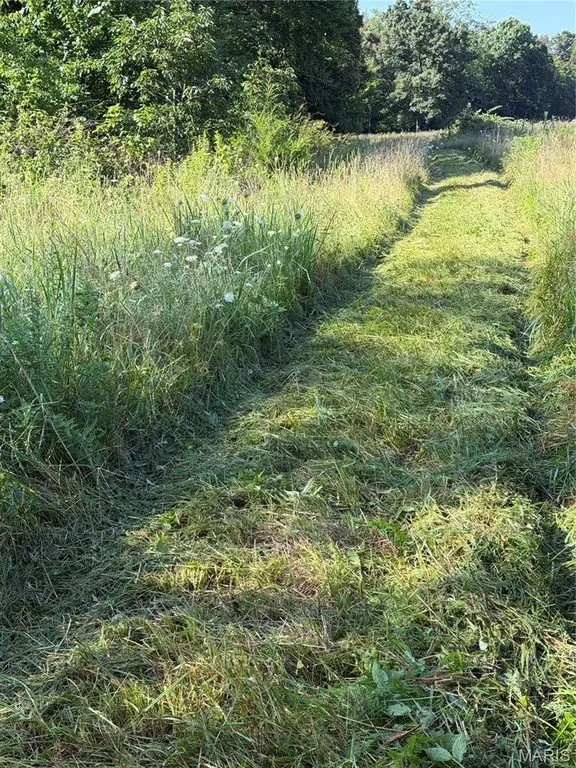 Picture 10