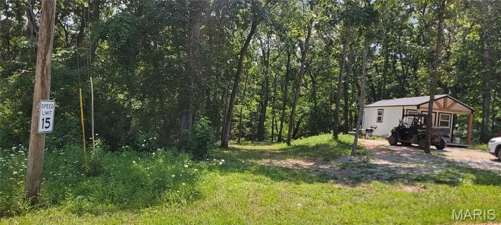 Picture 4
