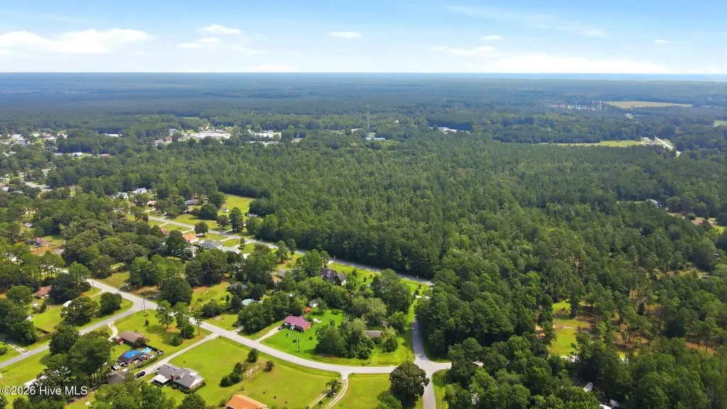Picture 8