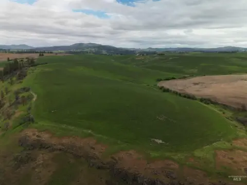 Productive Farmland with Palouse Views