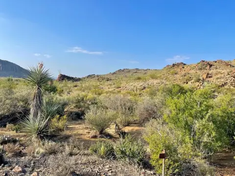Terlingua Land with Mountain Views
