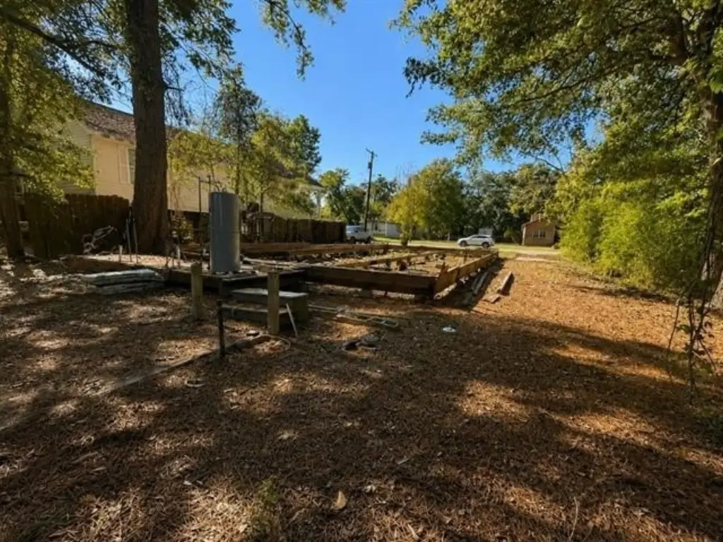 Picture 5