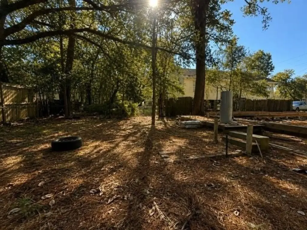 Picture 8