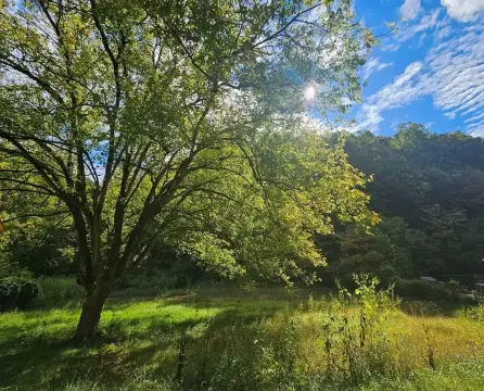 48 Acres of Country Charm