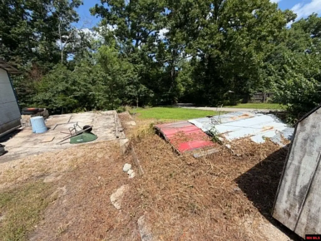 Picture 13