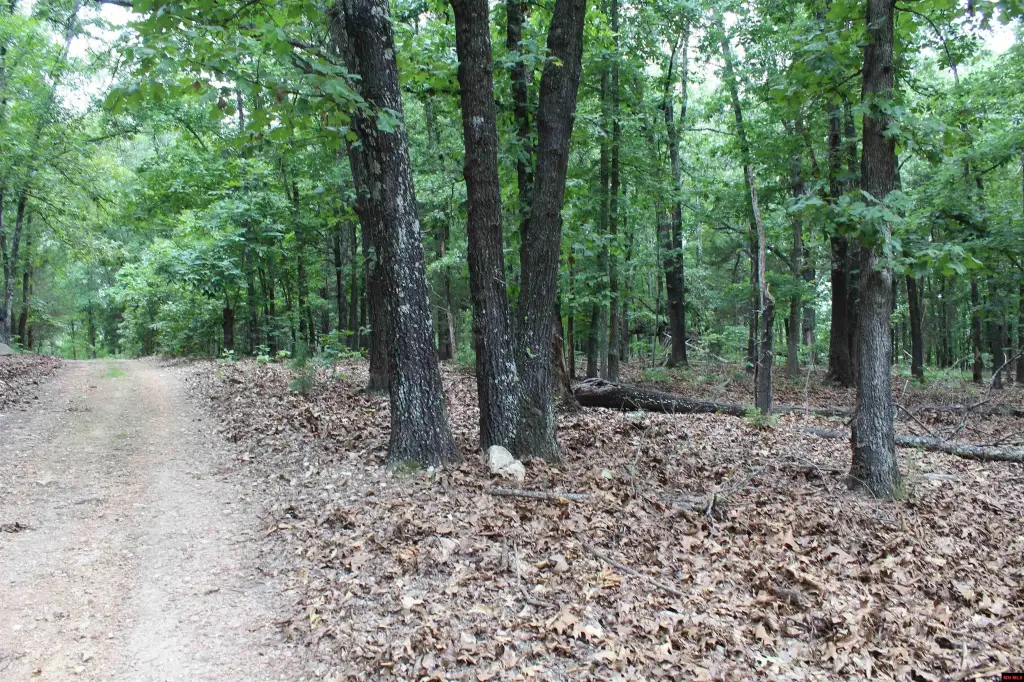 Picture 5