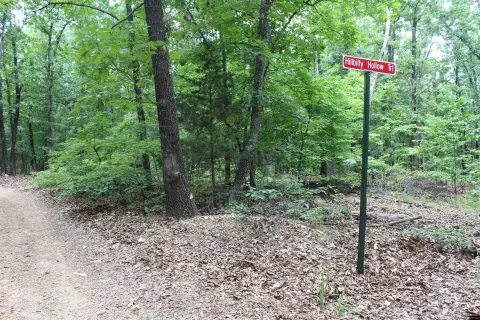 Wooded Hunting Land Tract