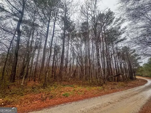 Unimproved Wooded Tract in Carrollton