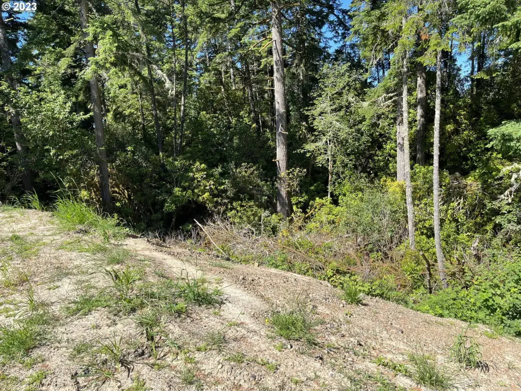 Picture 5