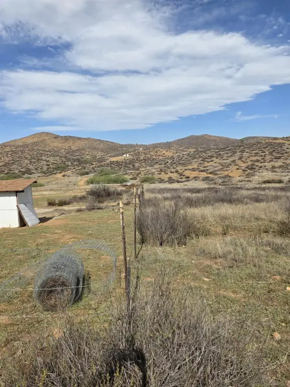 Picture 5