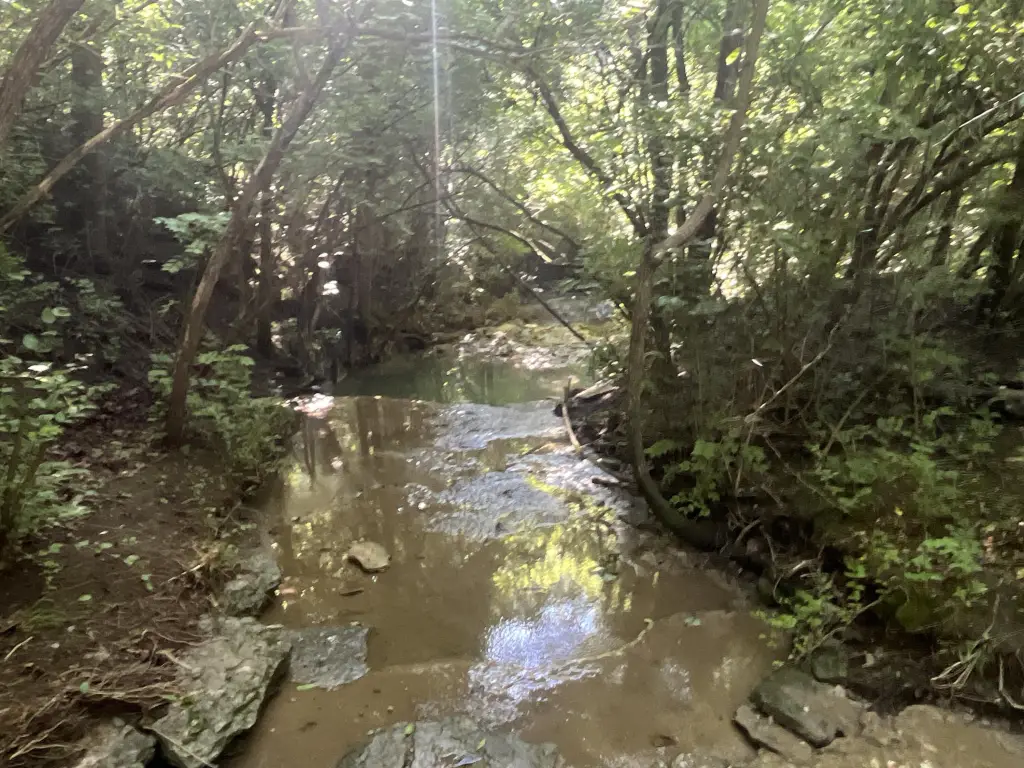 Picture 40