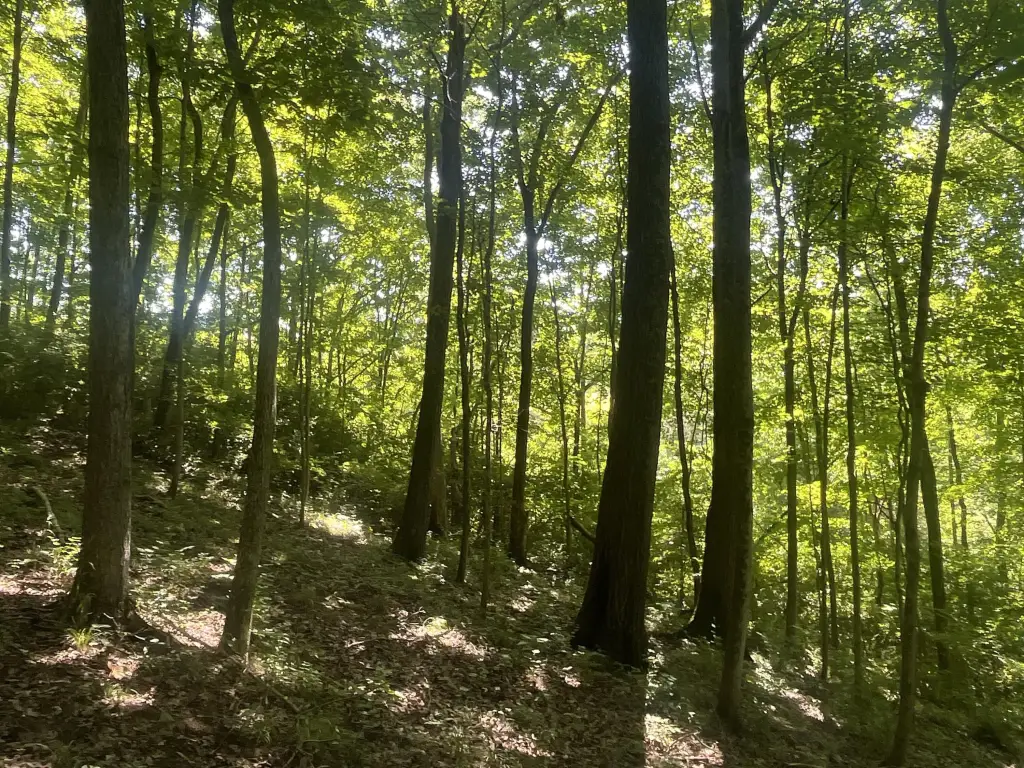 Picture 24