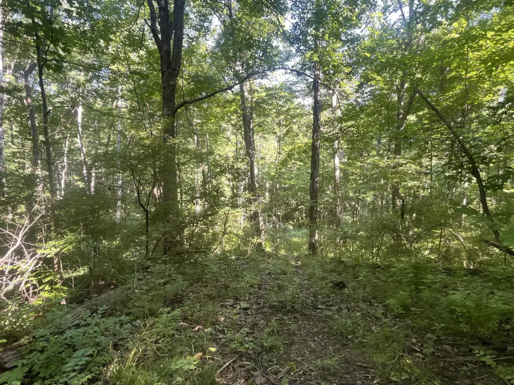 Picture 30