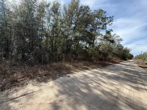 Bronson Vacant Land Parcel