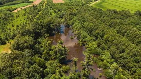 70 Acres Farm & Hunt