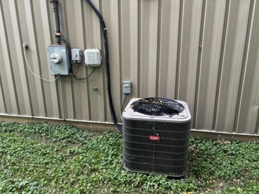 Picture 17