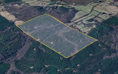 320 Acres of Hunting Land