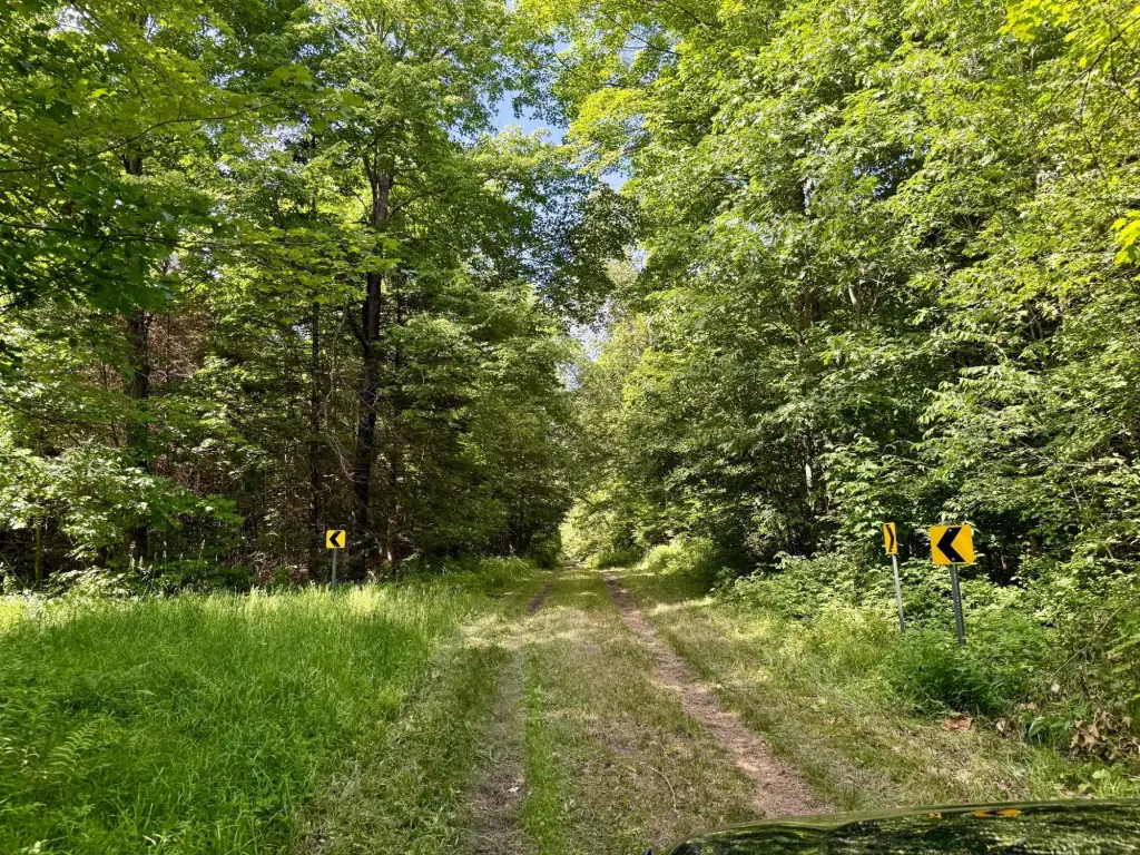 Picture 30