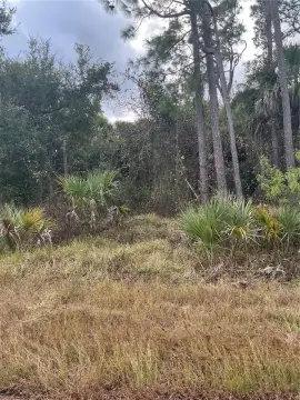 Prime Homesite in North Port