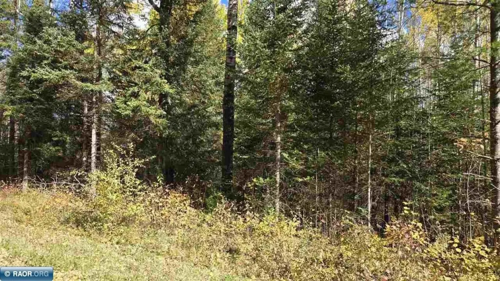 Picture 23