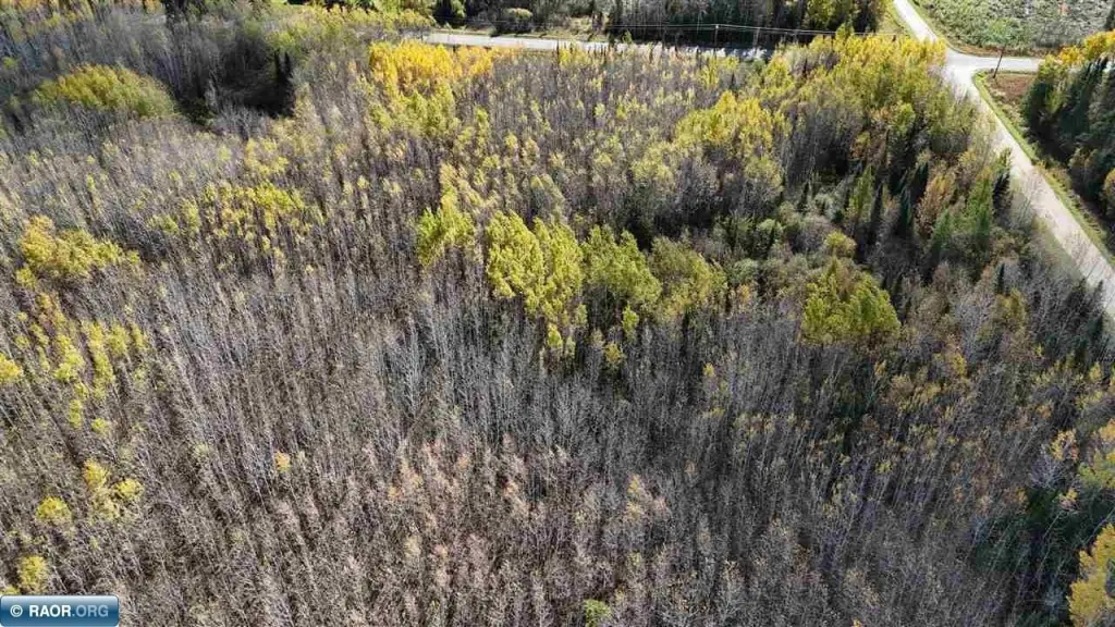Picture 13