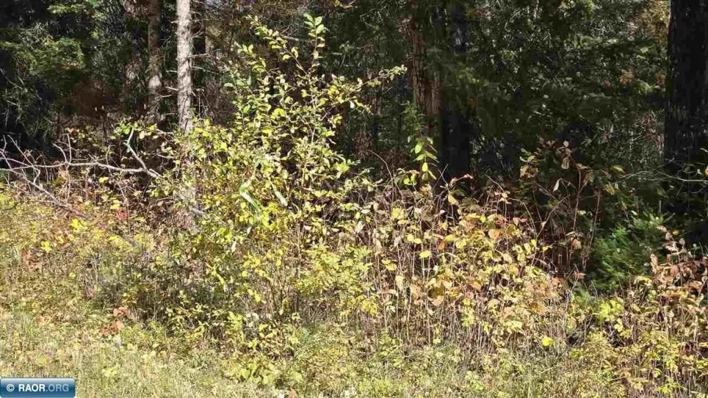 Picture 24