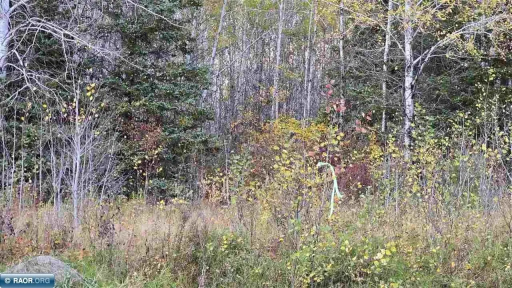 Picture 22