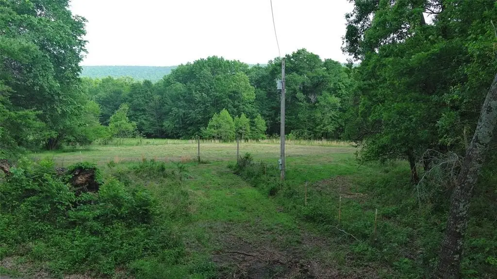 Picture 8