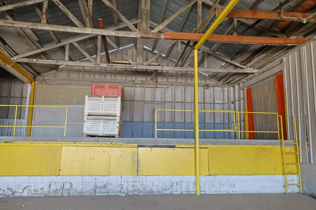 Picture 14