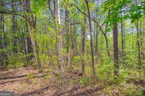 Fairburn, GA Sloping Lot