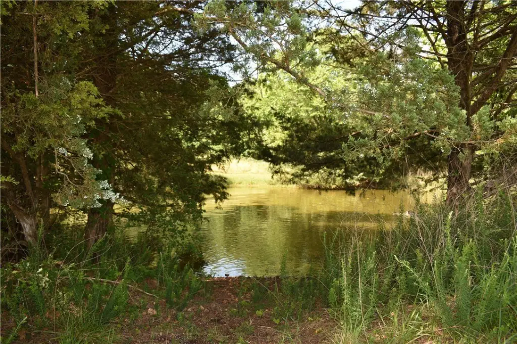 Picture 14