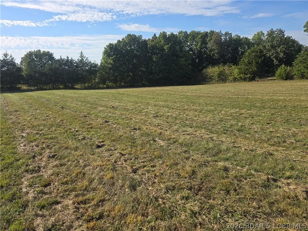 Picture 6