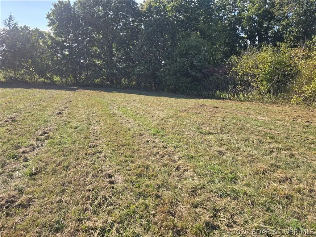 Picture 4