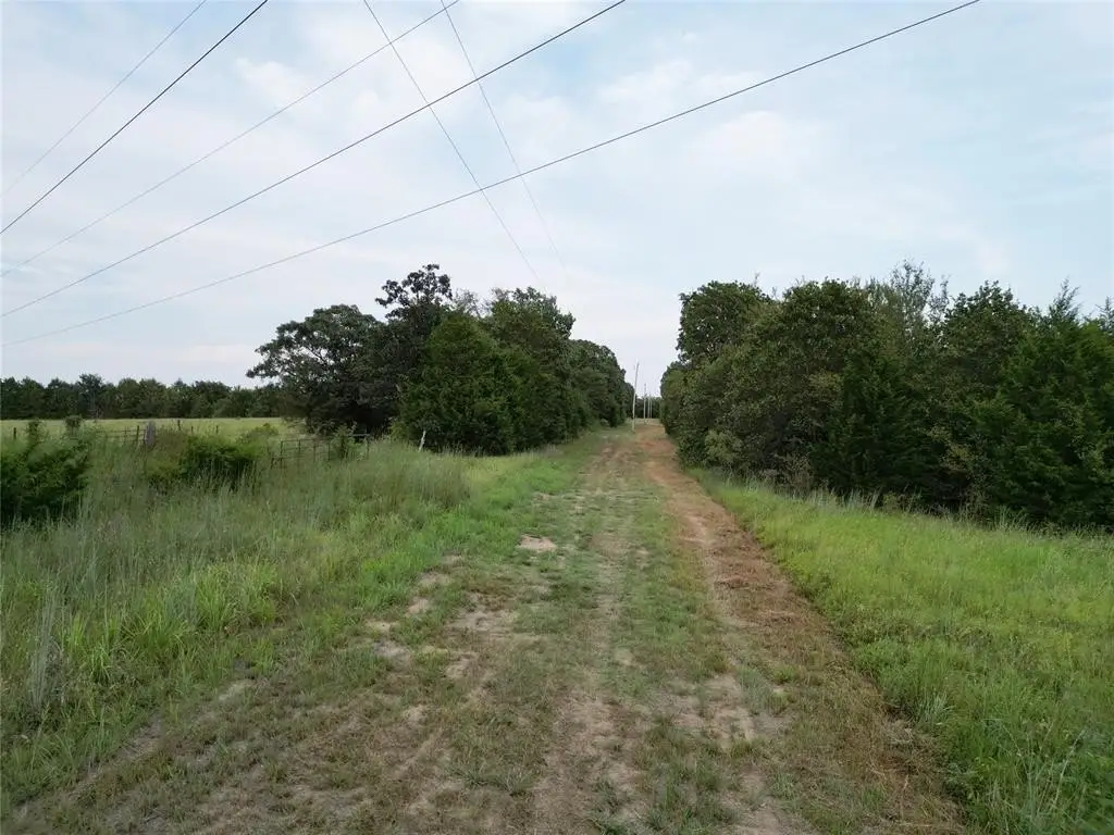 Picture 27
