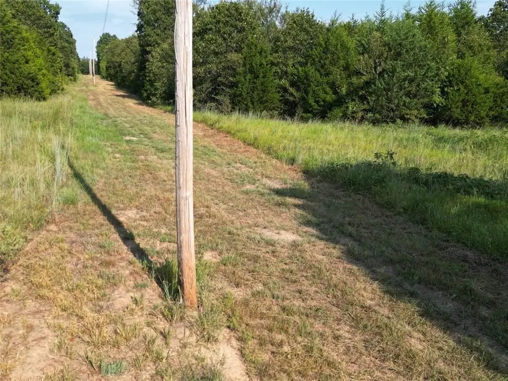 Picture 16