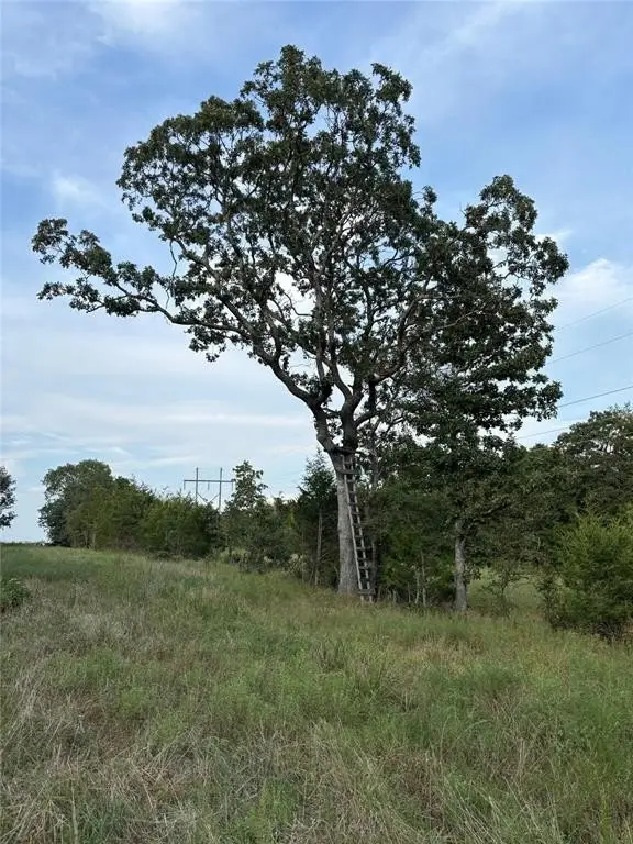 Picture 43