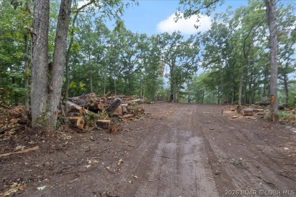 Picture 25