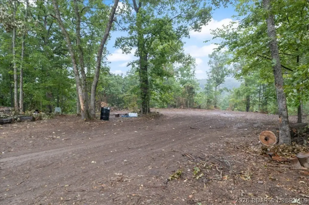 Picture 24