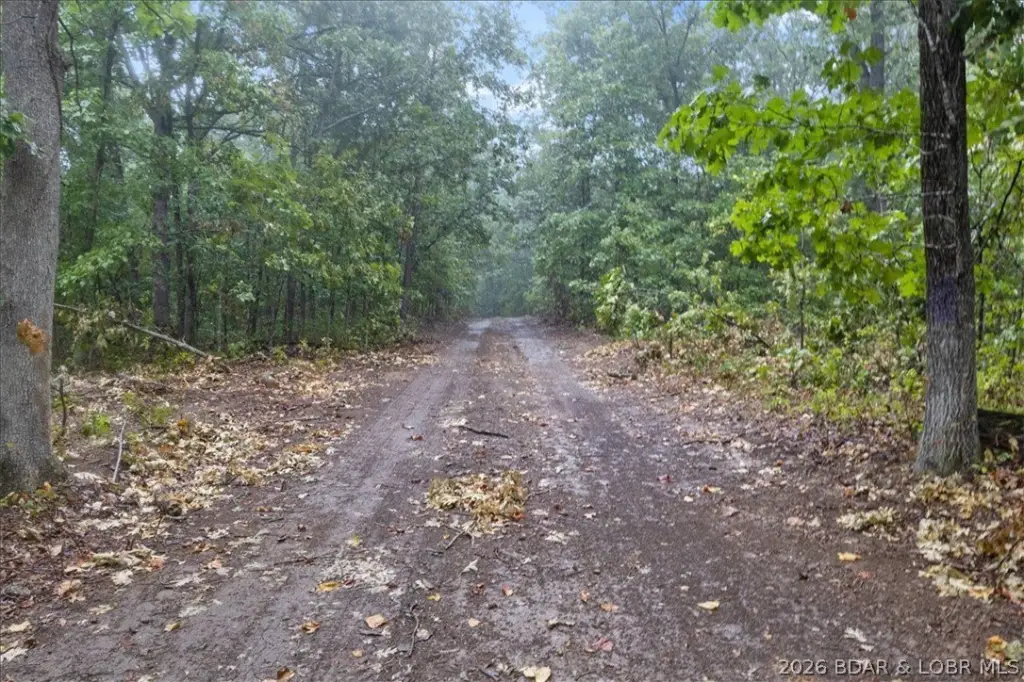Picture 26