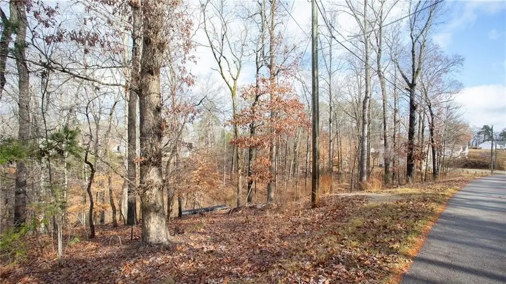 Picture 16