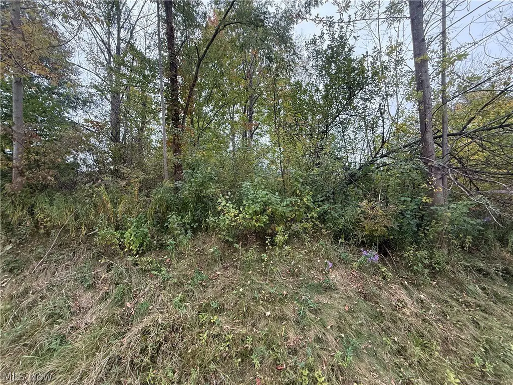 Picture 2